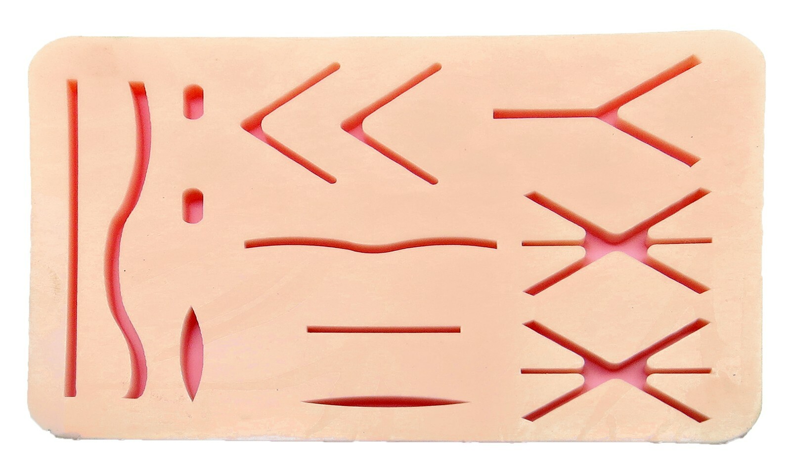 Premium Silicon Veterinary Suture Training Pad W/ Tray Suture Pad Size 13 Wounds