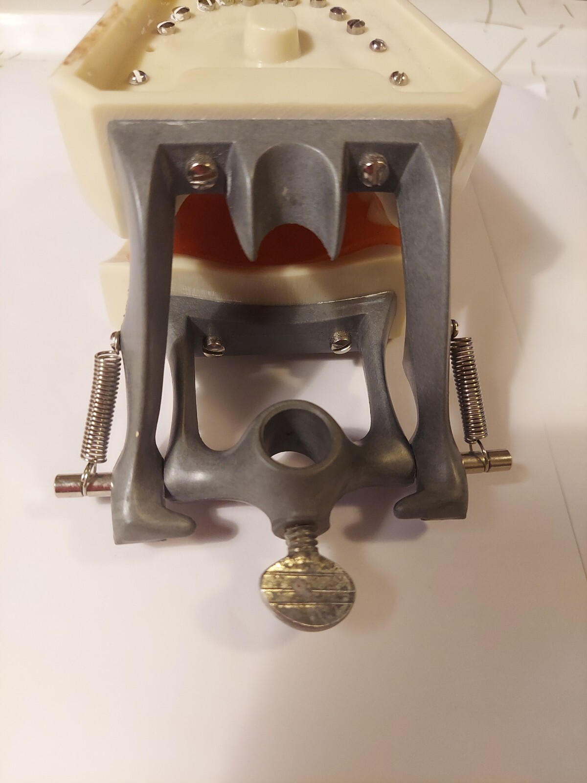 Halloween ? Dental Typodont Model with Removable Teeth R861/R862 (READ)