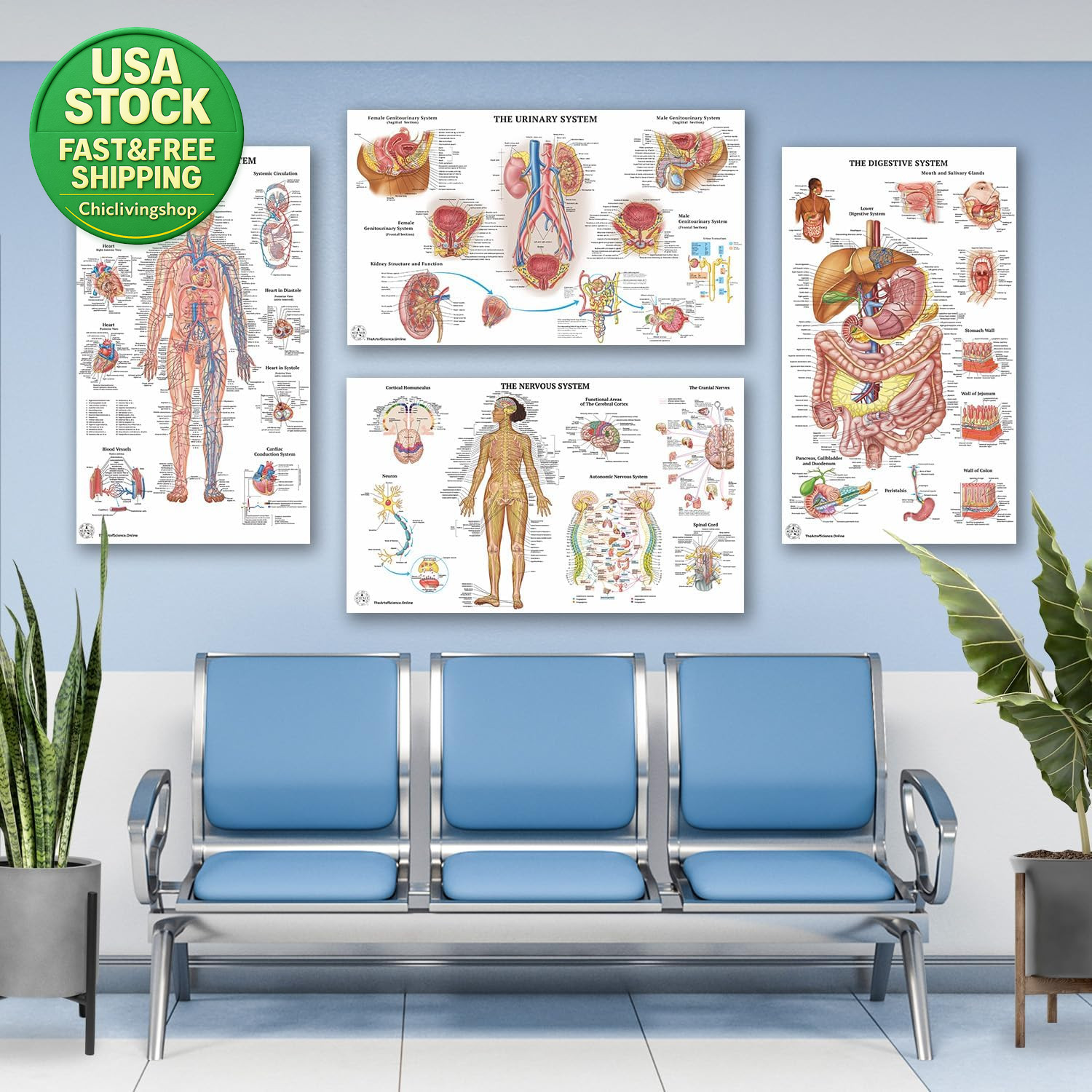 17 Human Anatomy Posters Medical Charts Classroom Office 18X30 Laminated