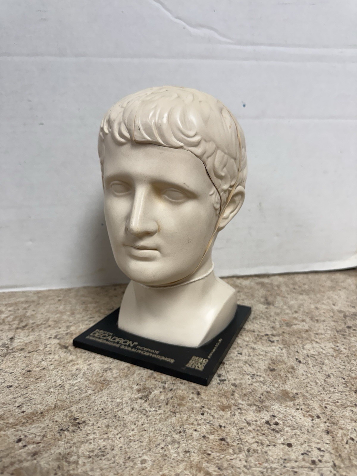 Vintage 1974 Merck Decadron Medical Display Bust With Brain Model Anatomy Piece