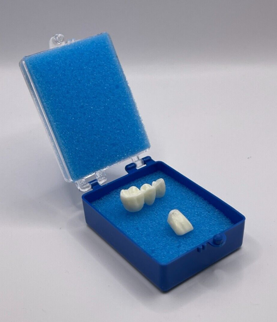 50 Pack, 2″ Blue Crown Foam Case Container Hinged Display Box Jewelry Teeth