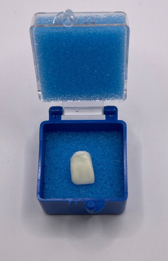 50 Pack, 1″ Blue Crown Foam Case Container Hinged Display Box Jewelry Teeth