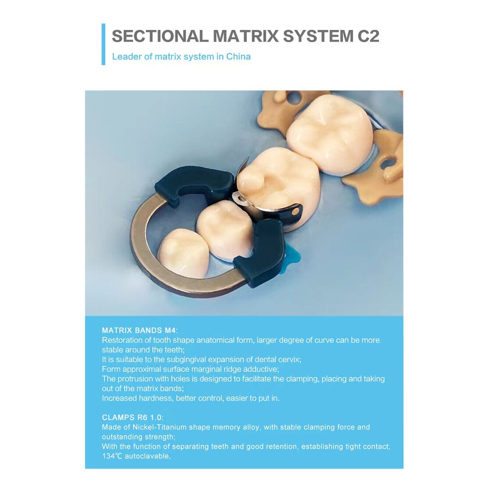 Dental Sectional Matrix Bands 4.5 5.5 6.5 Niti Retaining Rings Wedges Palodent