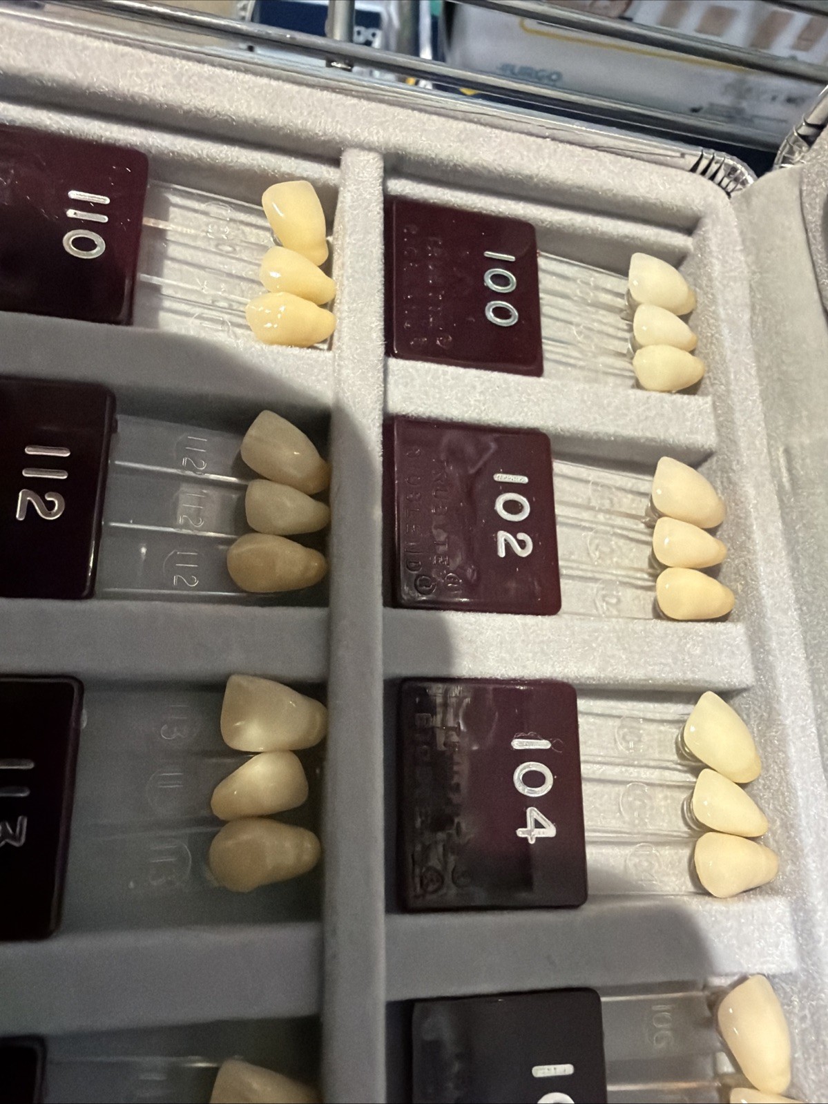 Trubyte BioBlend IPN Blend Selector Dental Shade Guide Hard Case Complete