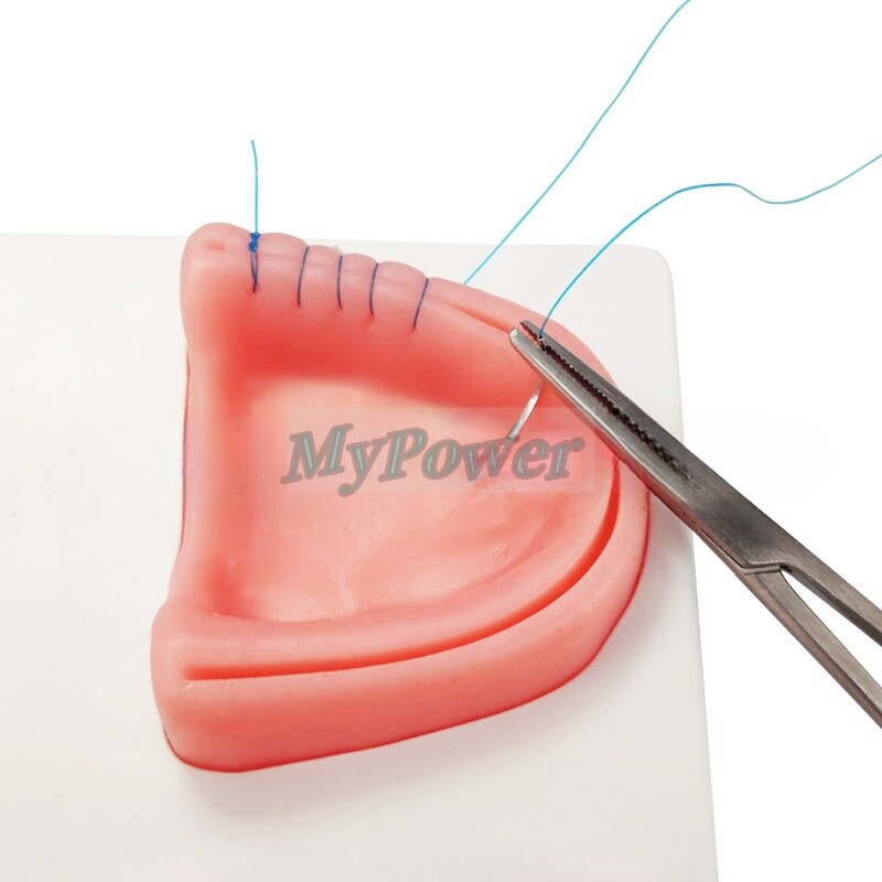 Dental Simulation Suture Model Gum Teaching Training Surgical Suture Reverse Cut