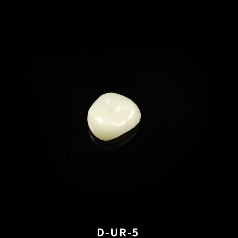 Dental Kids Zirconia Crowns Anterior/Posterior Teeth Primary Molar Crown 1pc/box