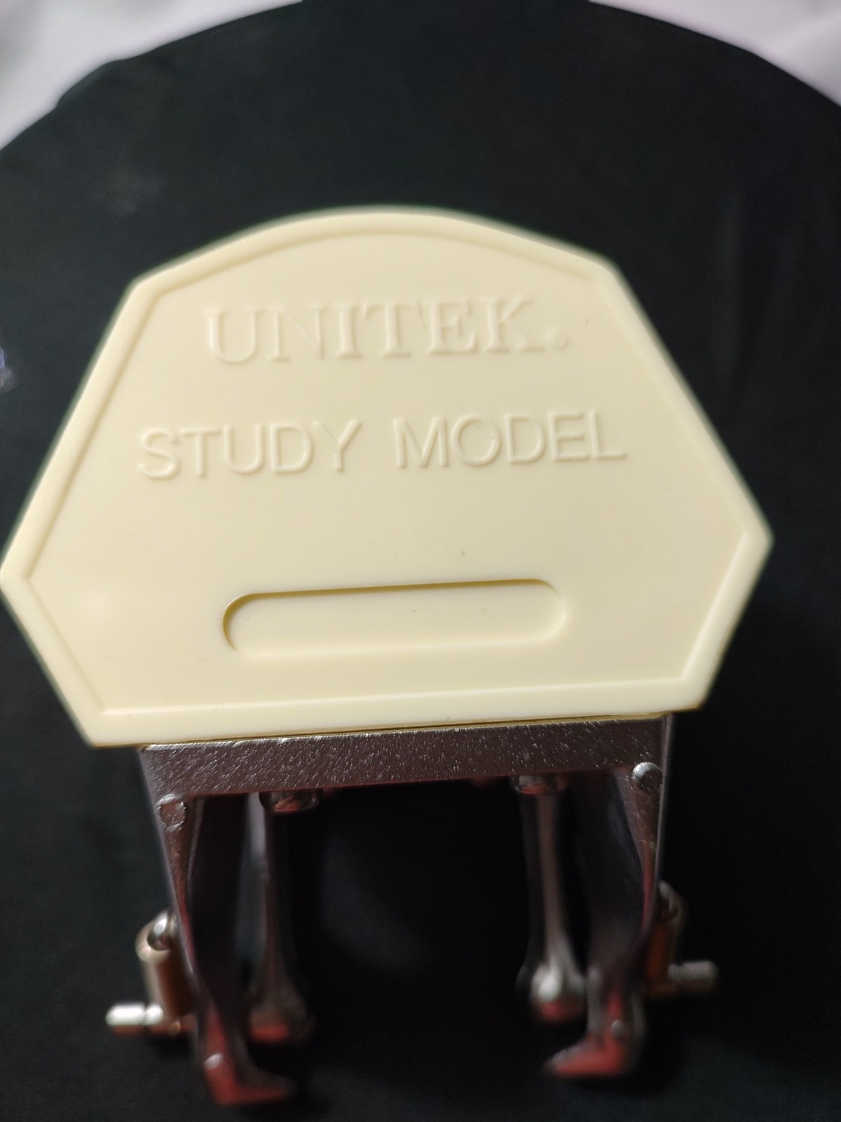 Halloween Scream Creepy Decor – Unitek Dental Teeth Model