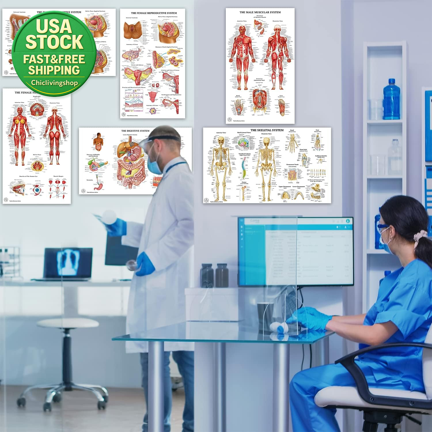 12 Human Anatomy Posters Laminated Medical Biology Health Classroom 18X30