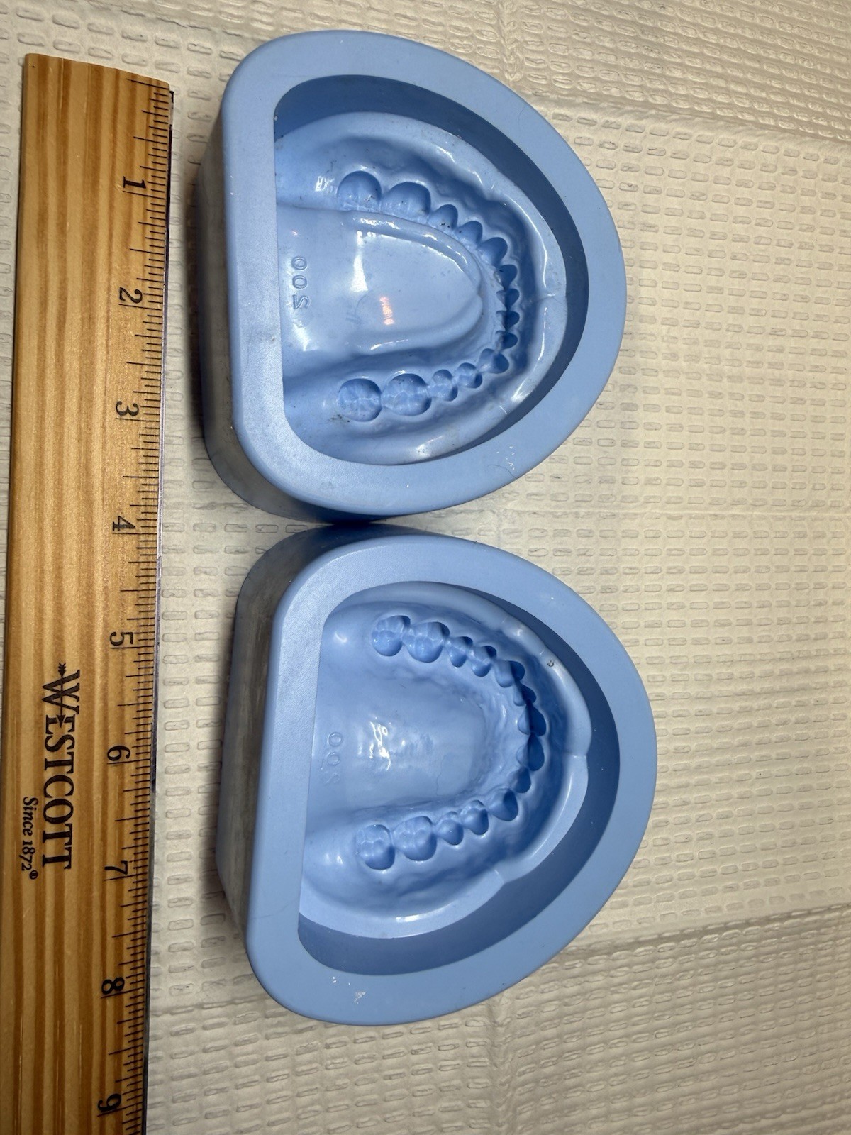 Dental Mold Cast Silicone Plaster Stone Maxillary Mandibular Maxilla Mandible