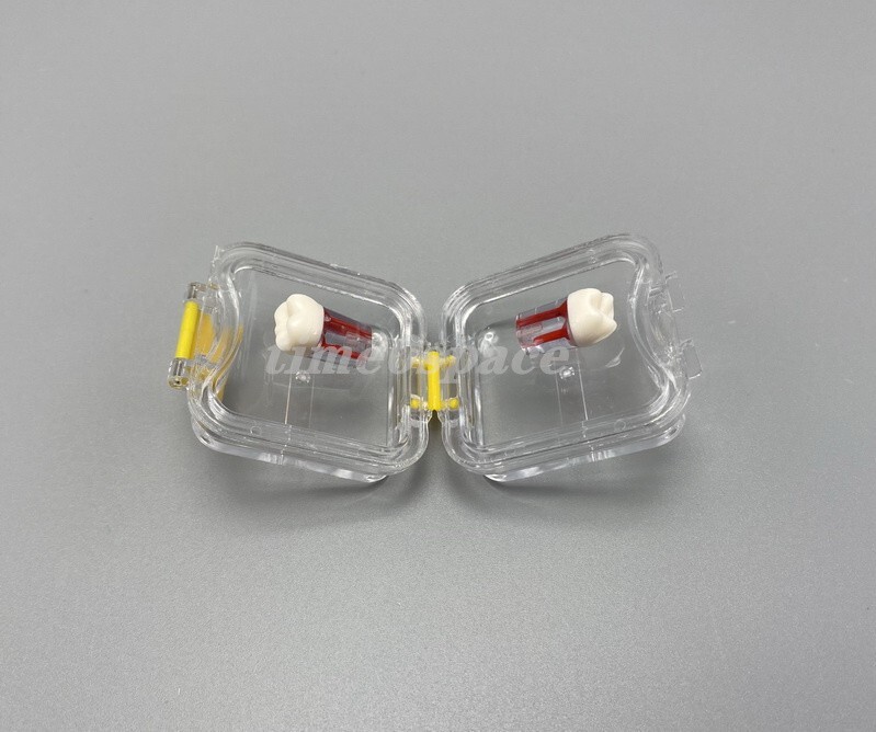 20Pcs Dental Box Jewelry Storage Boxes Hinged Display Clear Membrane Case Small