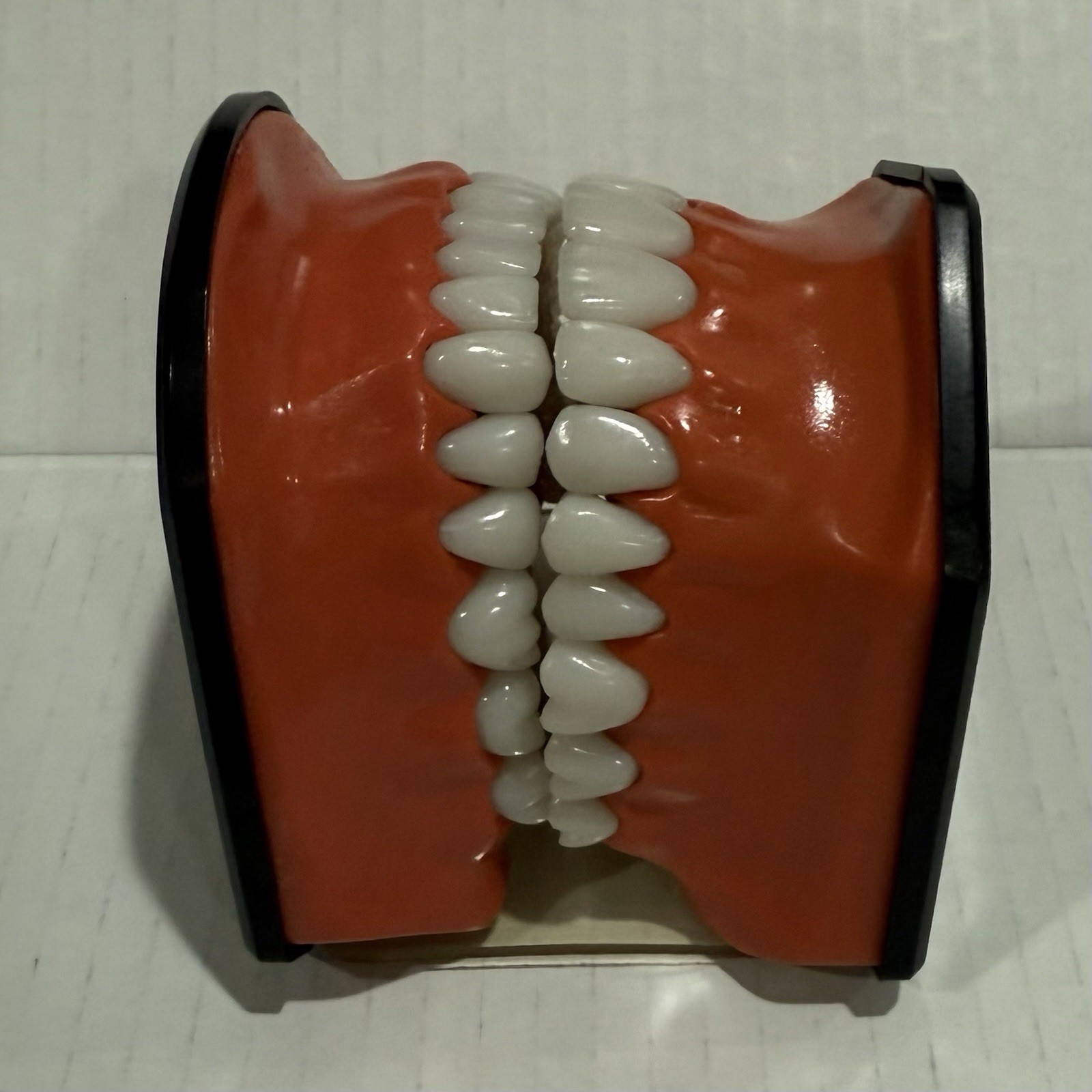 Oral Teaching Model Learning Demonstration Display for School and Home Classroom