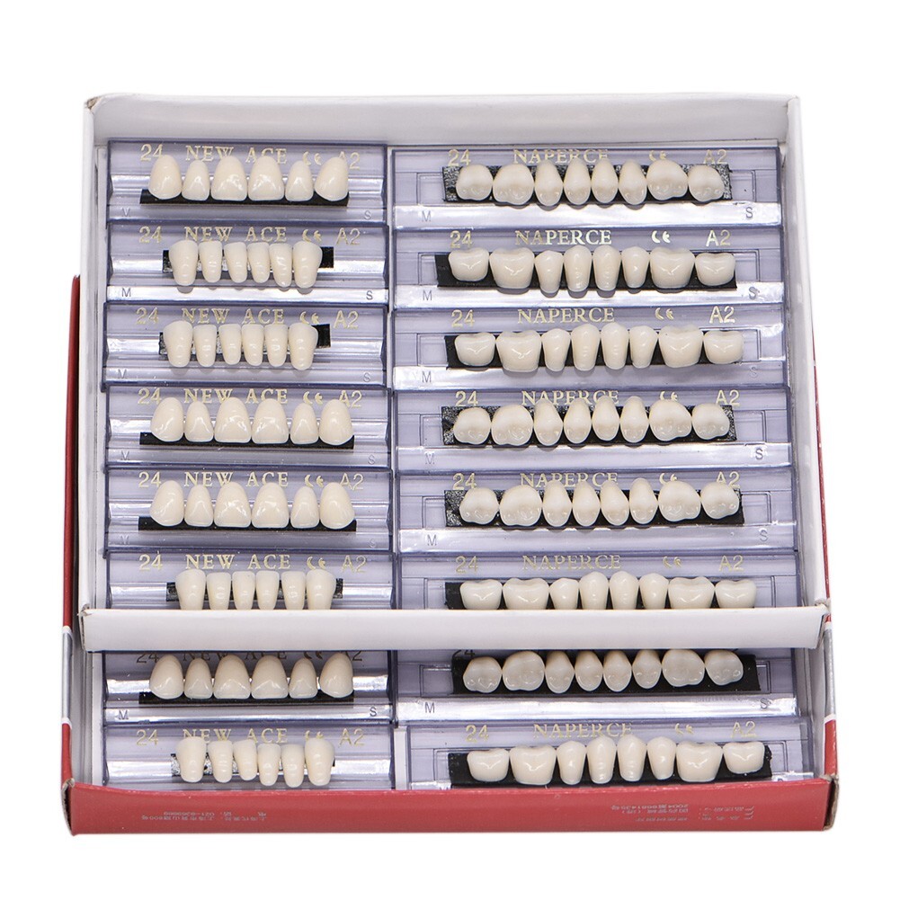 168Pcs Acrylic Resin Denture #24 Dental Upper Lower Shade A2 Teeth Set USA
