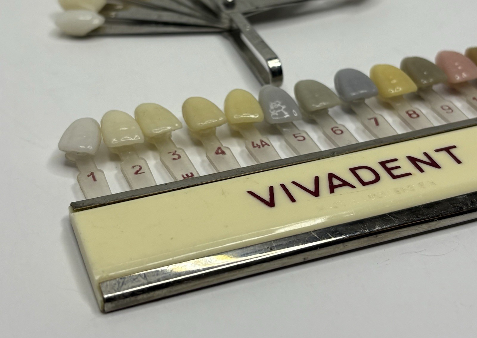 Vintage Vivadent Teeth Dentures Shade Guide Made In Liechtenstein Rare Complete