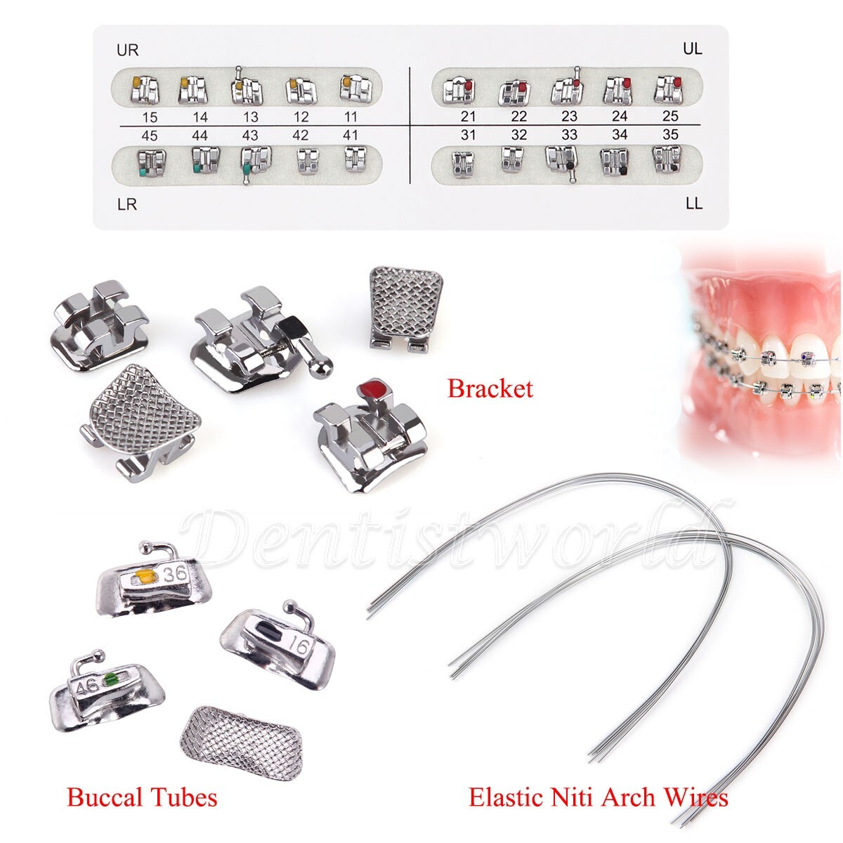 AZDENT Dental Orthodontic Metal Brackets Braces /Super Elastic Niti Arch Wires