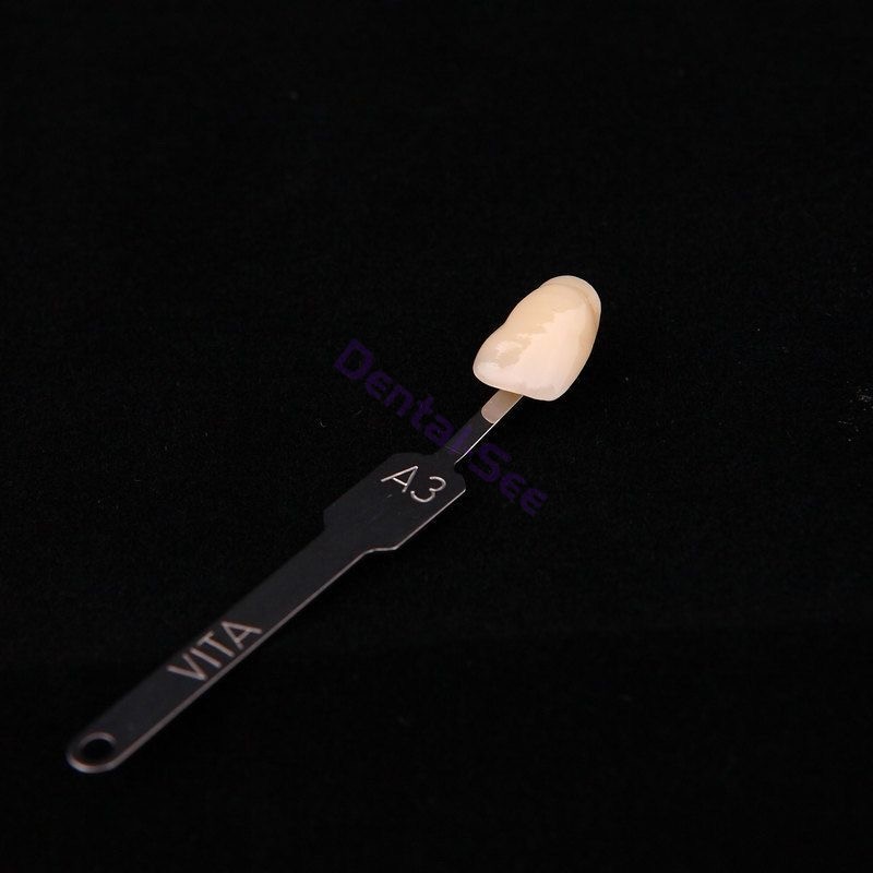 New 1 Set VITA Classical Dental Shade Guide 19Colors with Bleached Shades Clip