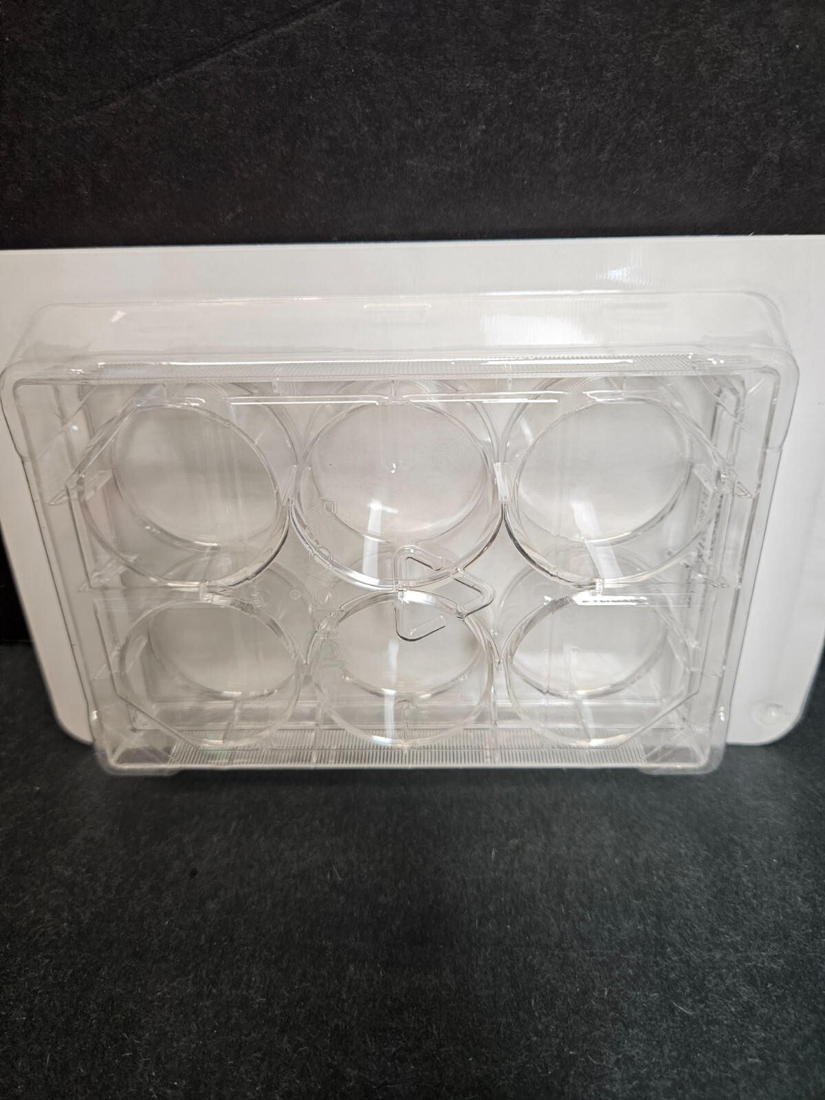Fisherbrand Microplate 6 Well Flat Bottom 100 Plates