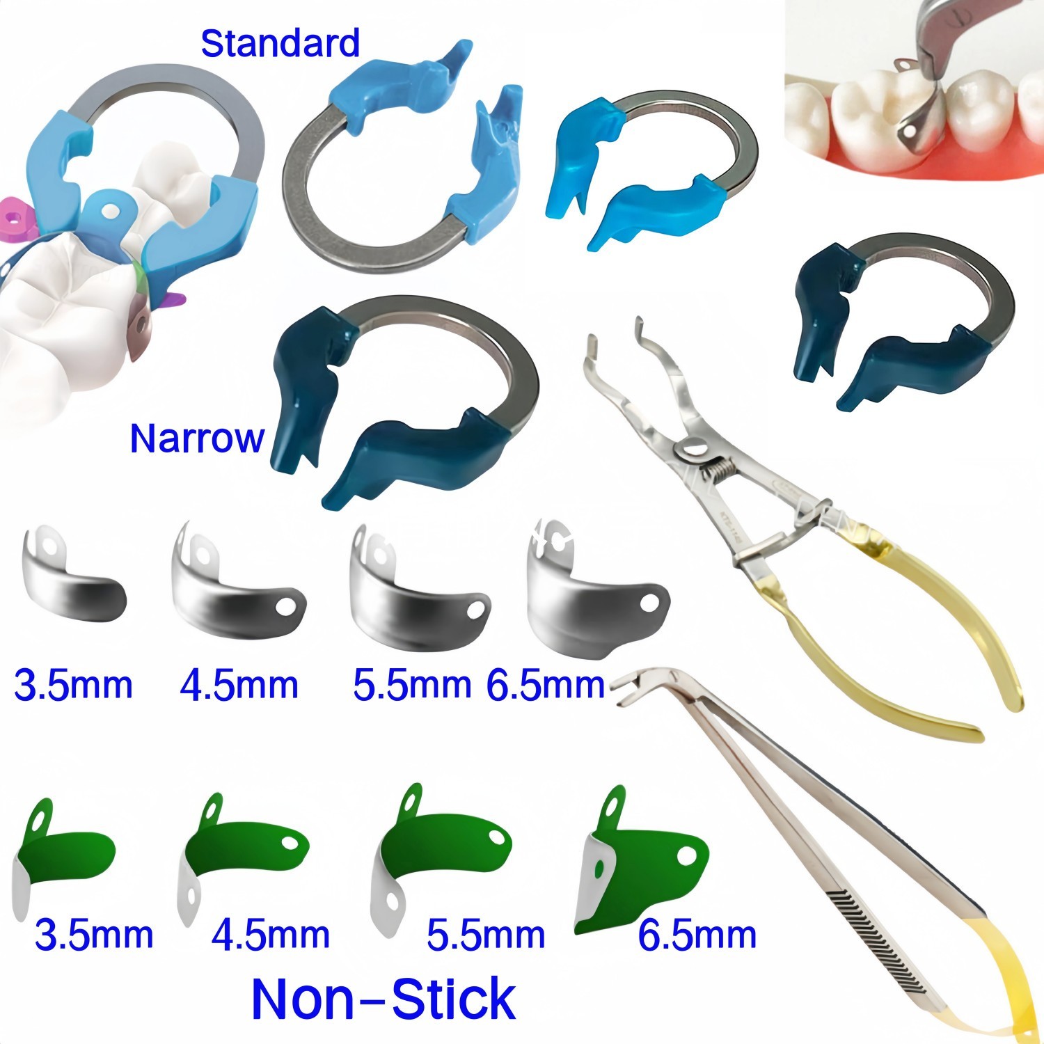 Dental Matrix Bands Ring Sectional Matrice Clamp Fit Garrison Palodent V3 System