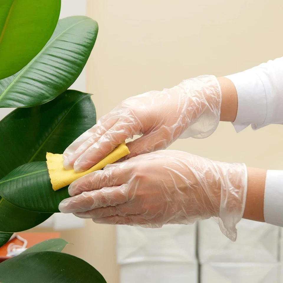 Schneider Clear Vinyl Exam Gloves, Latex-Free, Disposable Medical Gloves, Cleani