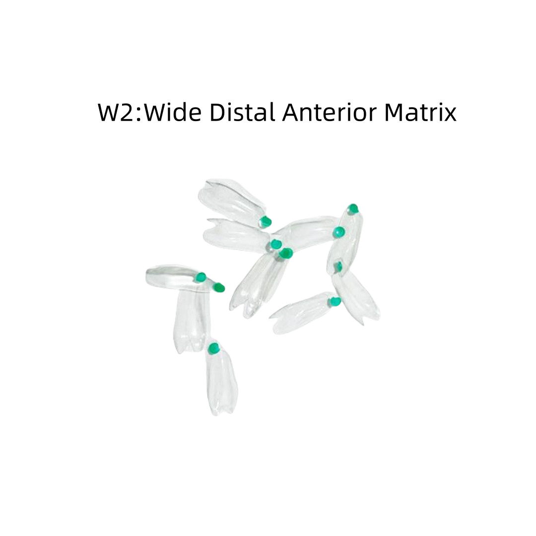 Clear Matrix Dental Anterior Posterior Transparent BT Matrices Fit BioClear USA
