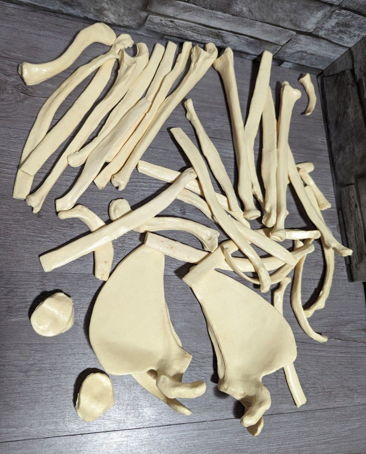 Large Lot Of Anatomical Replica Bones Model Medical Educational Halloween Prop