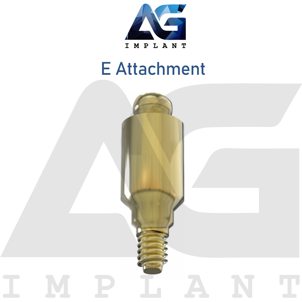 2 Straight E Attachment Hard Set Titanium Overdenture Int Hex