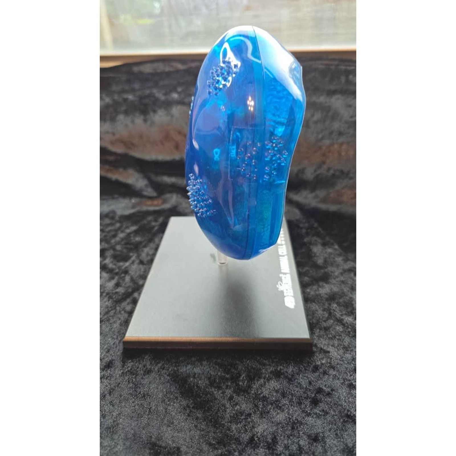 4D Science Animal Cell Anatomy Model – Blue Educational Display (No Box) – OBO