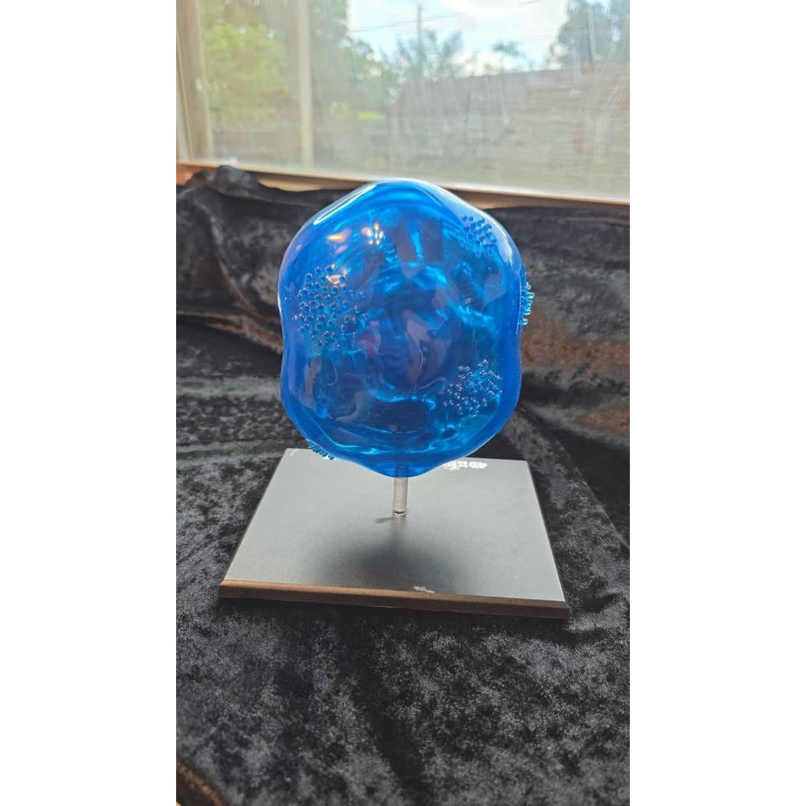 4D Science Animal Cell Anatomy Model – Blue Educational Display (No Box) – OBO