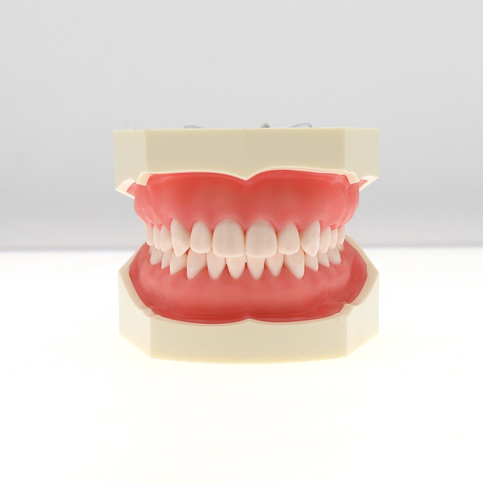 US Dental 28Pcs Typodont Teeth Mounting Pole Model fit Kilgore Nissin 200 Type