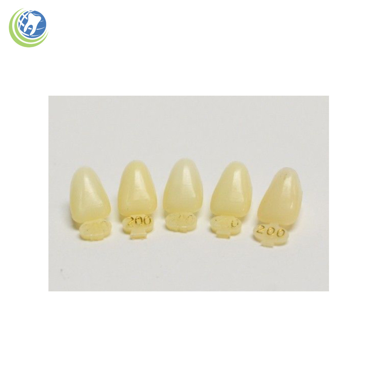 DENTAL POLYCARBONATE TEMPORARY CROWNS #200 (ULL) UPPER LEFT LATERAL 5/PACK