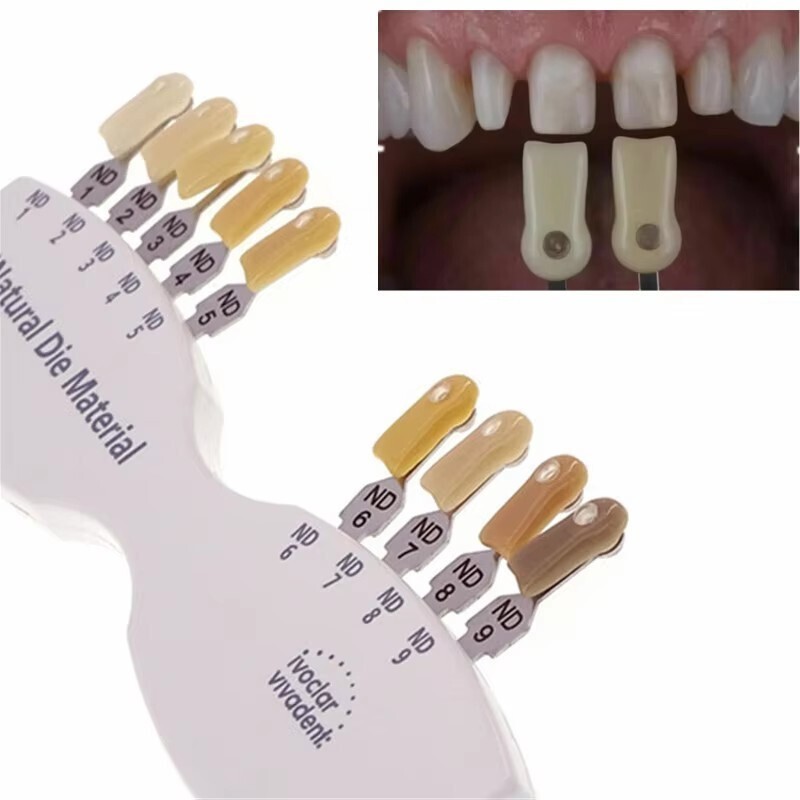 1Set Dental Tooth Shade Guide ND1-9 Abutment 9 Colors IPS Natural Die Instrument