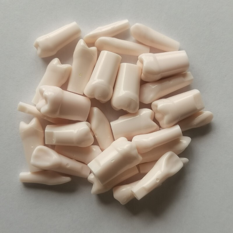 28 Pcs Dental Typodont Teeth Model Kilgore NISSIN 200 Type Removeable Teeth