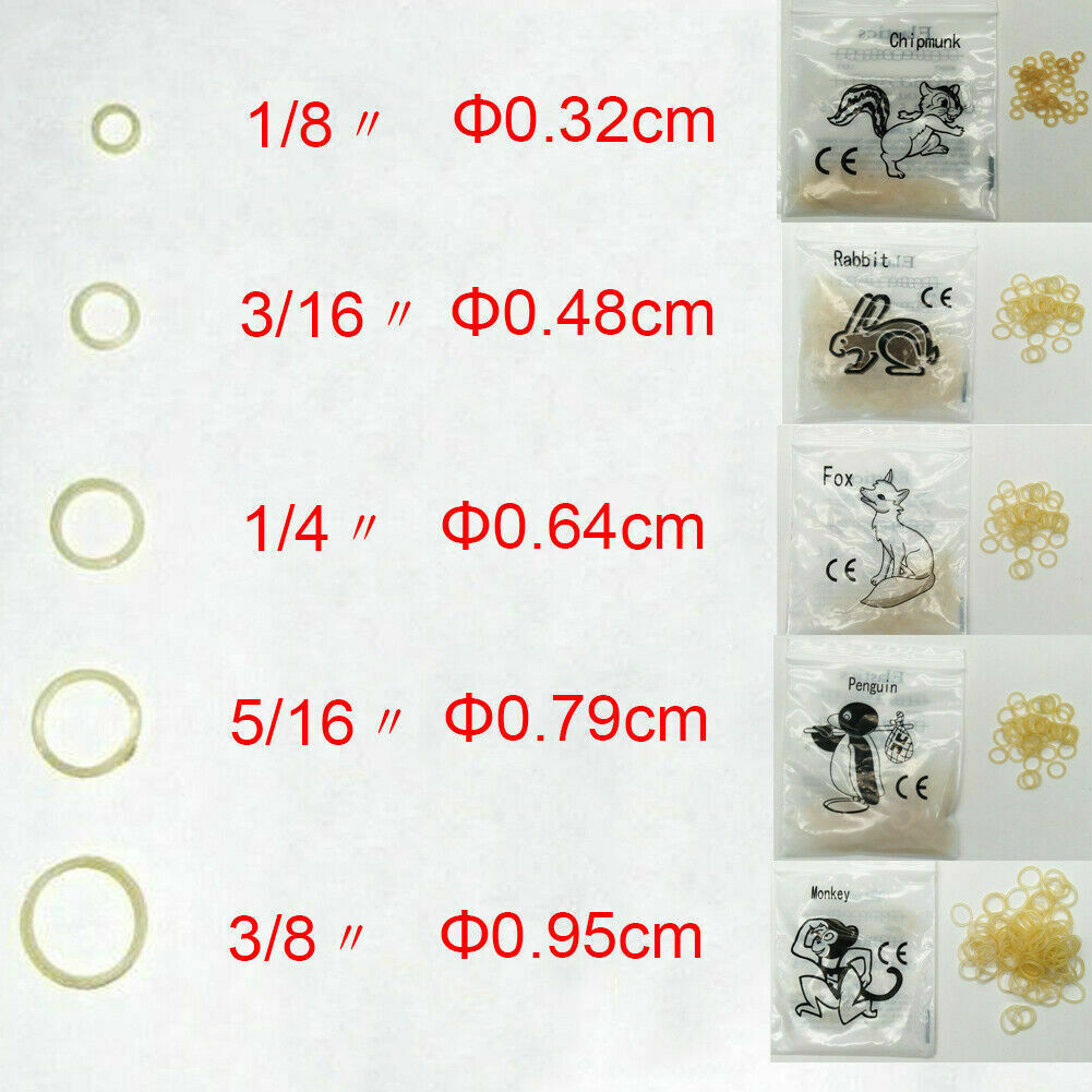 5000Pcs Dental Orthodontic Rubber Bands Elastics Latex Braces 15 Size for Choice