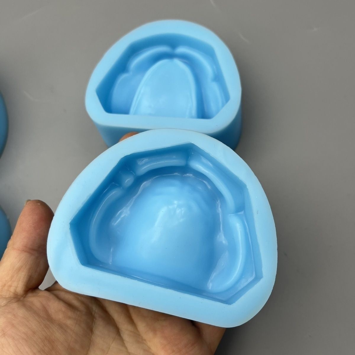 Dental Plaster Model Mold Mould of Edentulous Jaw Complete Cavity Block Silicone