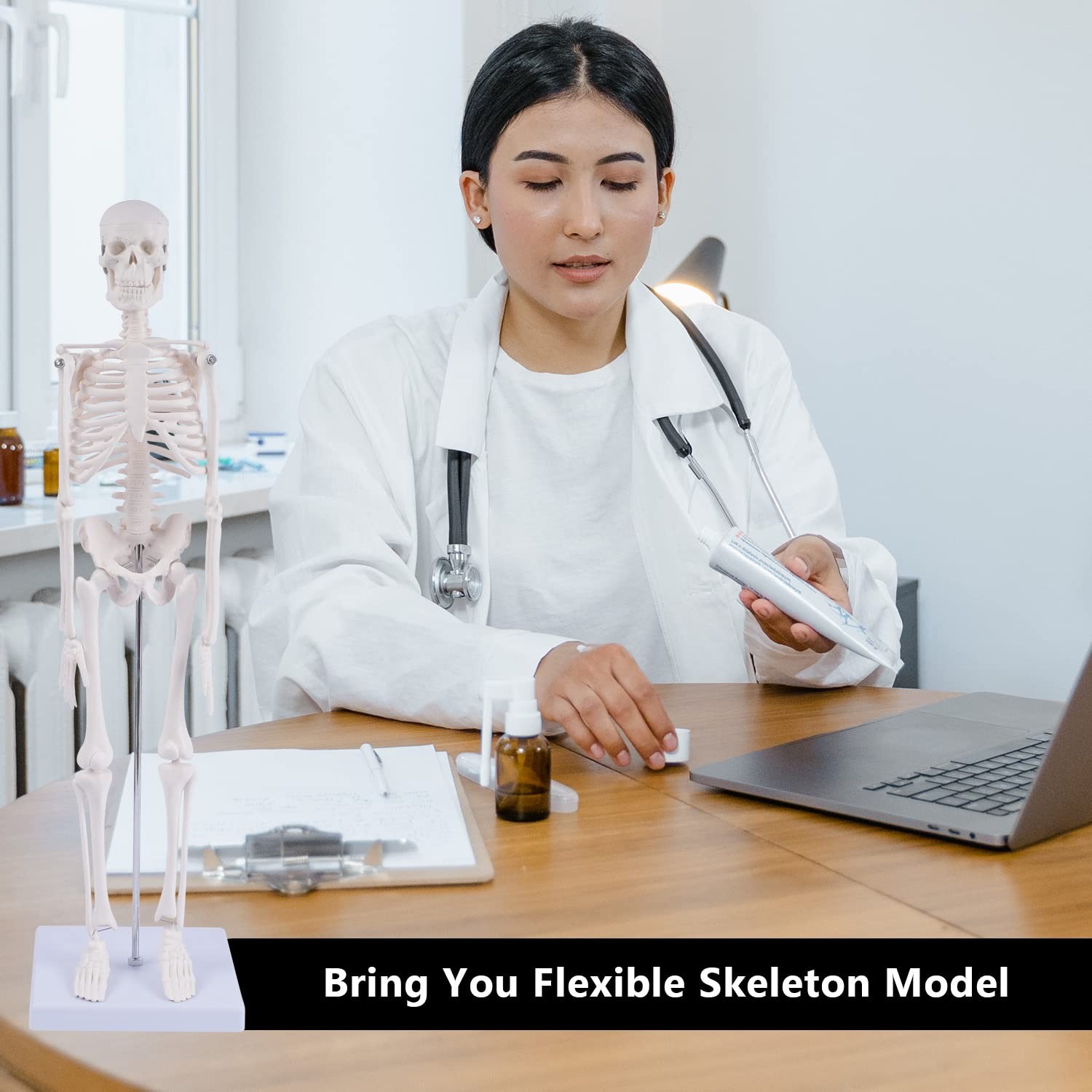 NLShan Human Skeleton Model for Anatomy: 17.7 Inches skeleton model