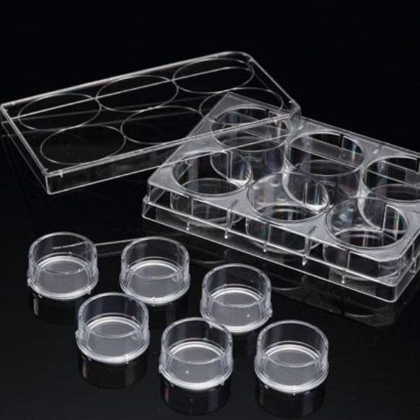 3D Cell Culture Plate Insert™ Hanging, PET, 0.4/3/8μm, 6 Pcs/PK, 24 Pcs/CS