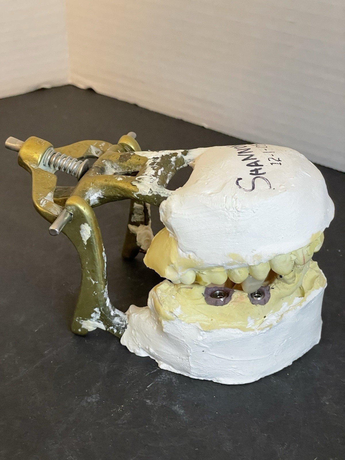 Dental Articulator Implant Case Medical Oddity Macabre Curiosity Halloween Prop