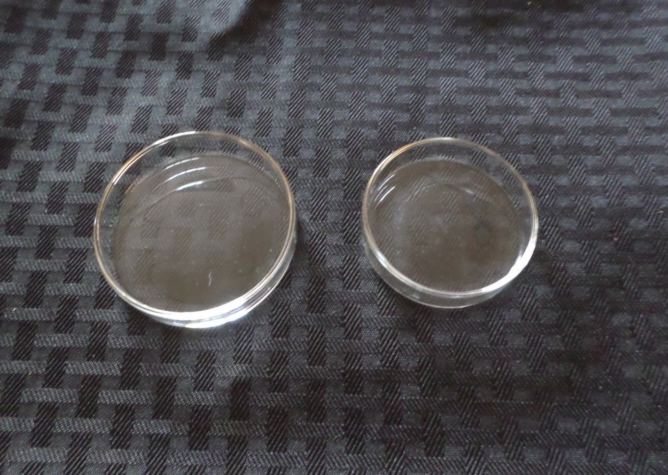 Unbranded Lab Glass Petri Dish Approx 60 x 13 and 76 x 13, 23064-6015