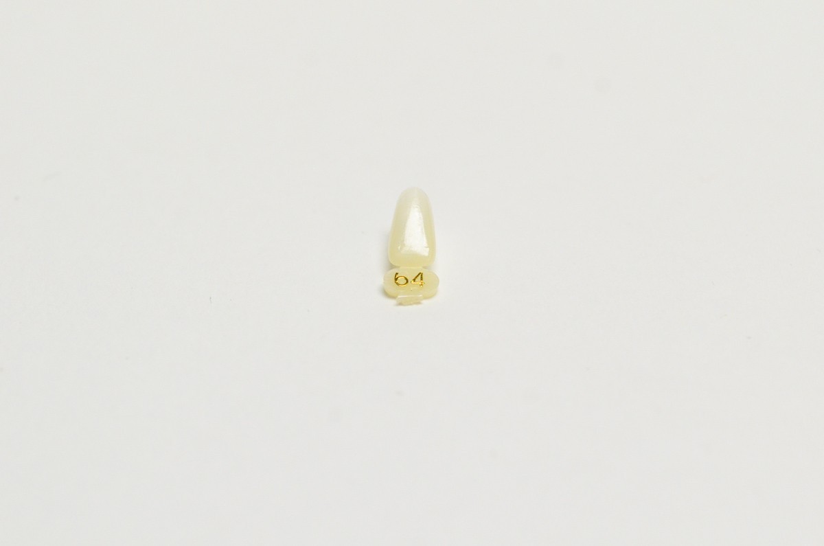 DENTAL POLYCARBONATE TEMPORARY CROWNS #64 (LAL) LOWER ANTERIOR LONG 5/PACK