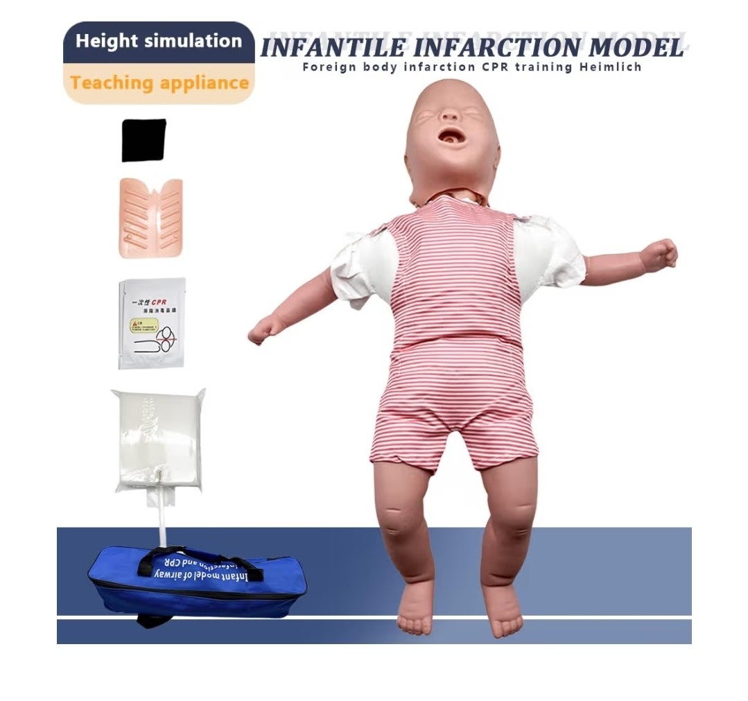 Baby Infarction Model Infant Airway, Manikin Medical Teaching Baby Models,…