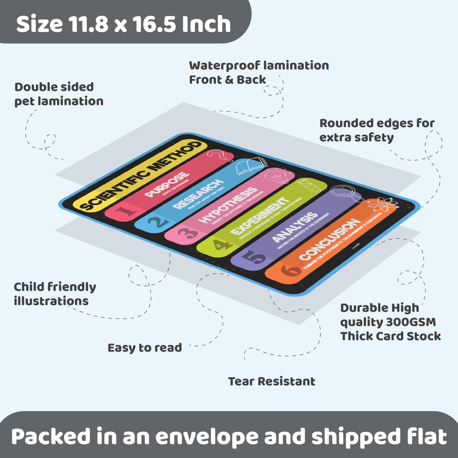Jackinthebox 12 Science Posters For Classroom – 12 X 17 Inches Laminated Middle