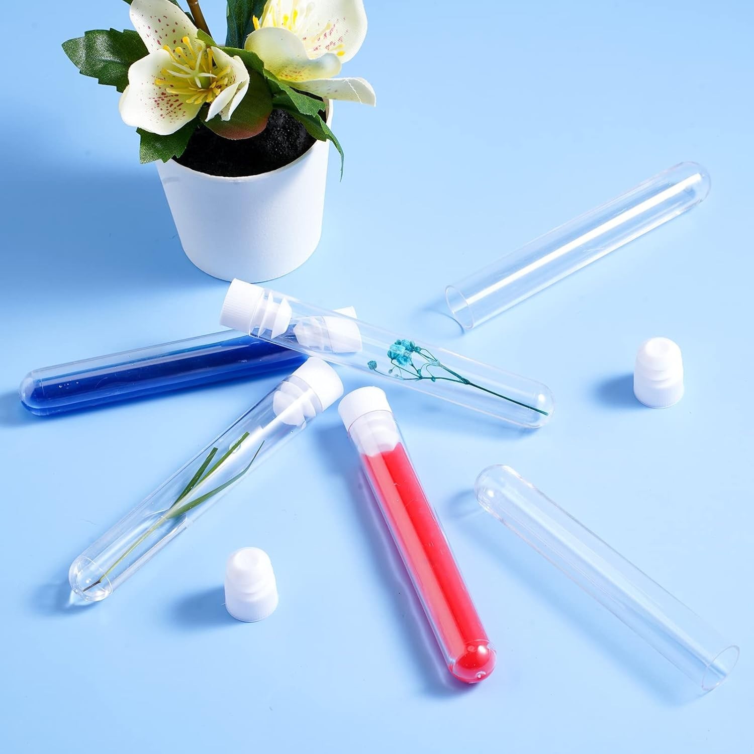 Clear 200 Pcs 10 ml Tubes with Caps – Perfect for Halloween & Experiments