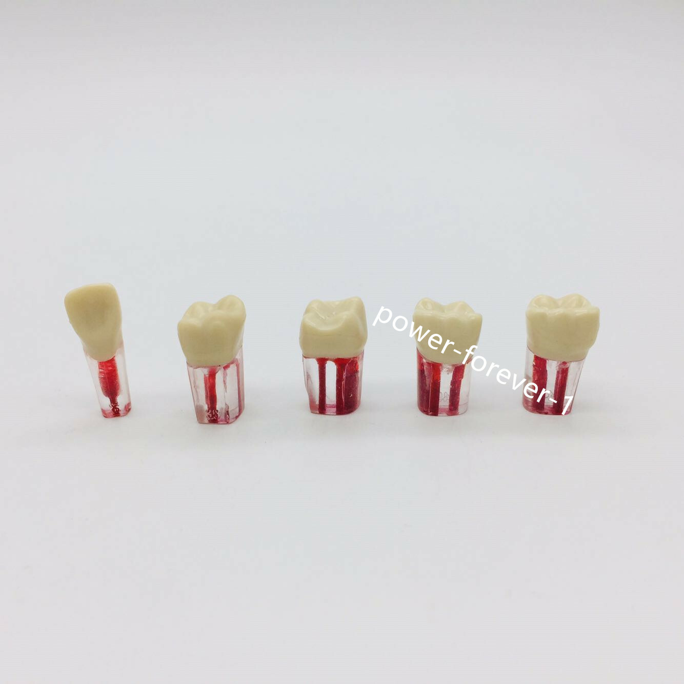 5Pc Dental Endo Root Canal Pulp Files Practise Blocks Study Model 11/16/26/36/46