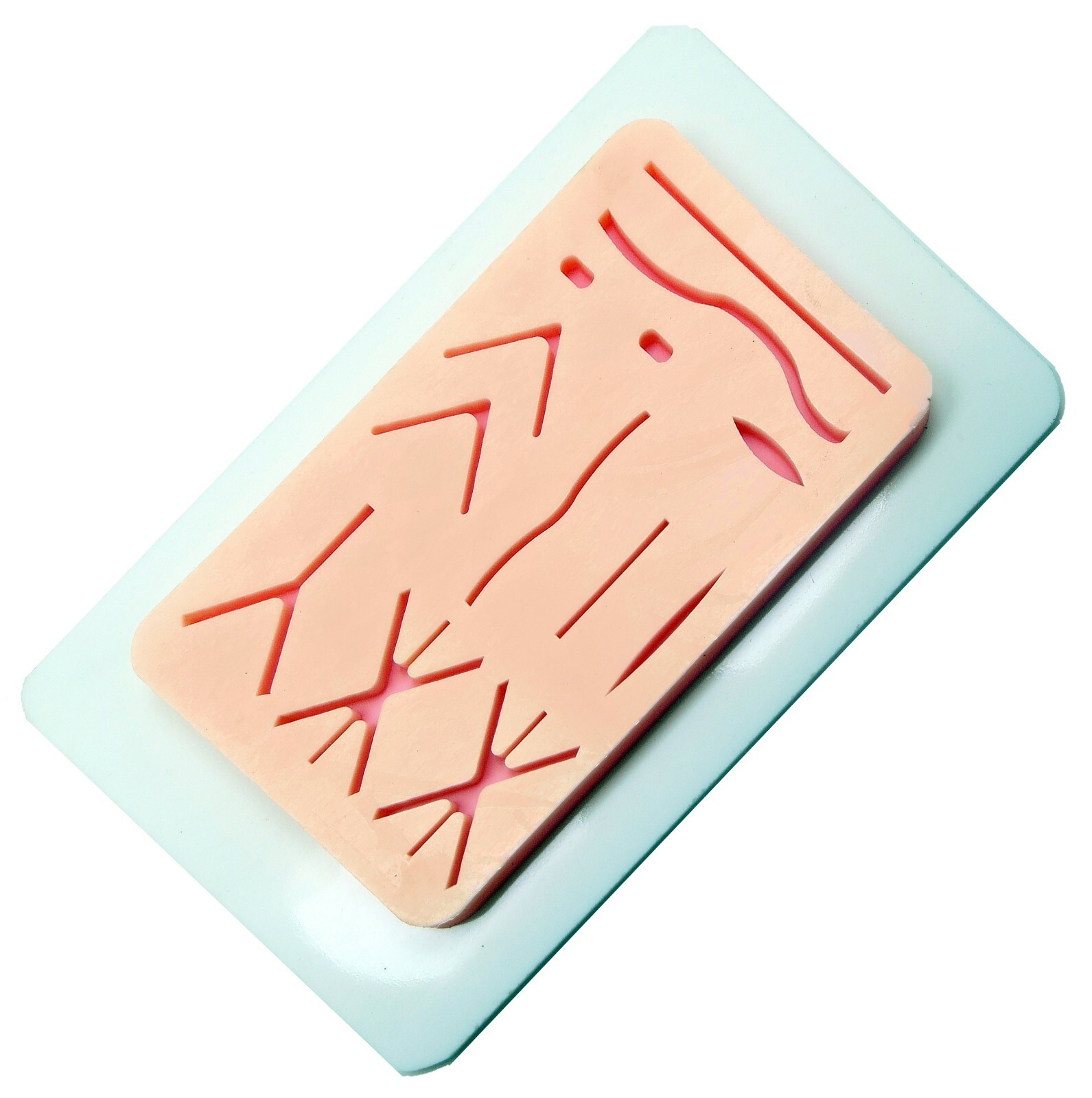 Premium Silicon Veterinary Suture Training Pad W/ Tray Suture Pad Size 13 Wounds