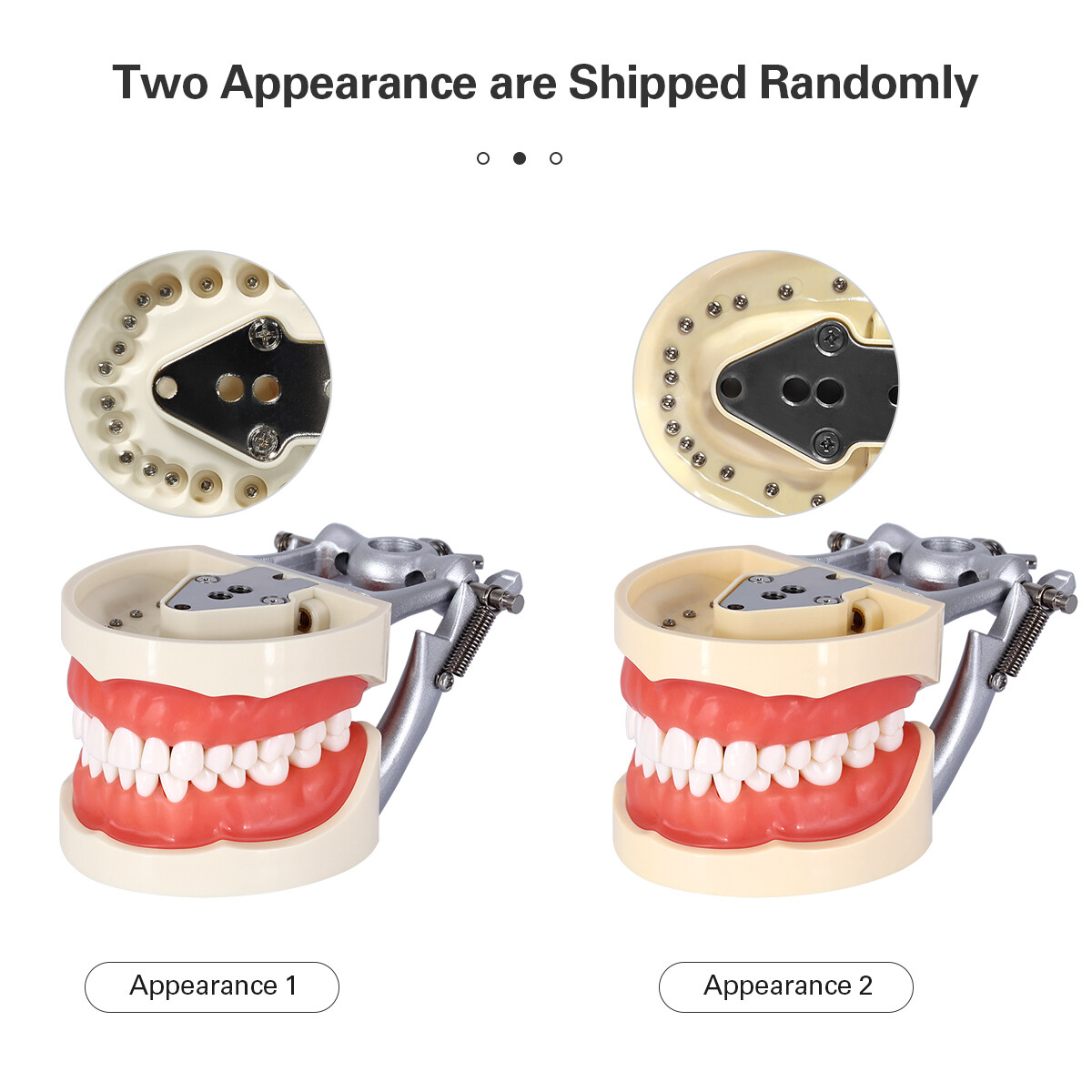 Dental OrthodonticTypodont Model /Implant Denture Restoration Model Upper Lower