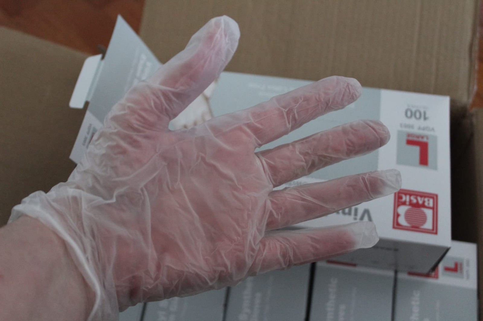 Basic Medical Clear Vinyl Exam Gloves, Latex-Free, Powder-Free, Case of 1,000