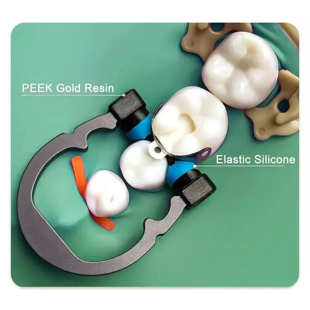 Dental Matrix Bands Ring Sectional Matrice Clamp Fit Garrison Palodent V3 System