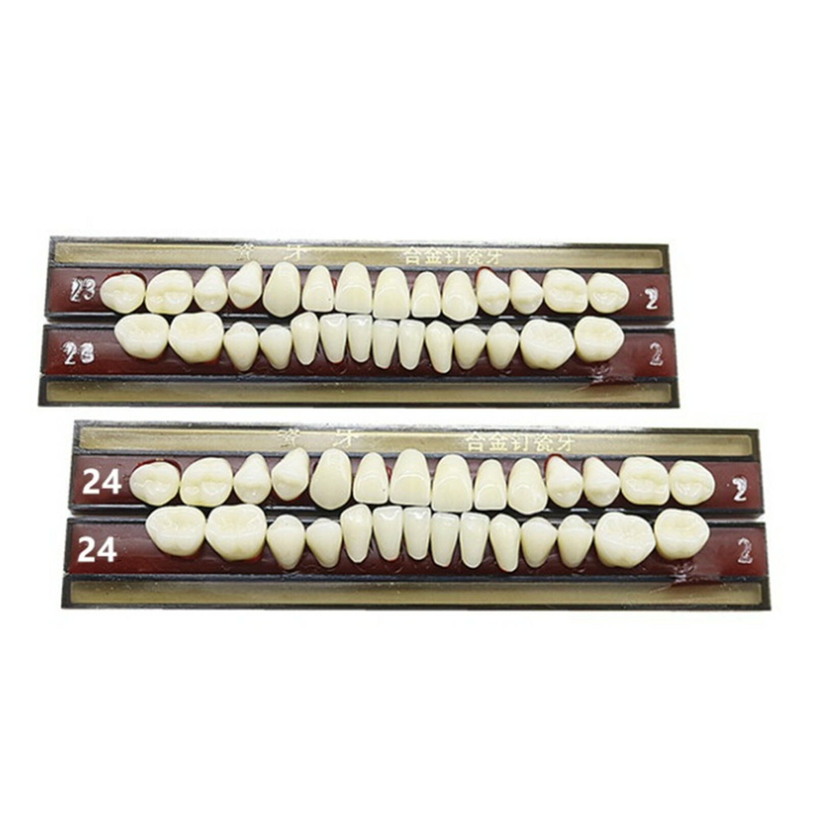 5 Set/Box Dental Alloy Pin Porcelain Teeth Material Color Guide Upper Teeth