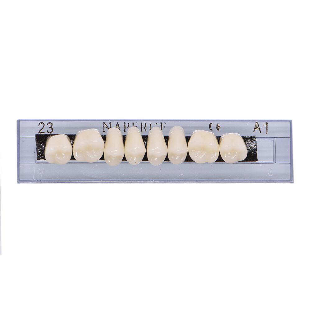 168Pc Dental Acrylic Resin False Teeth 23# Shade A1 Denture Full Upper Lower NEW