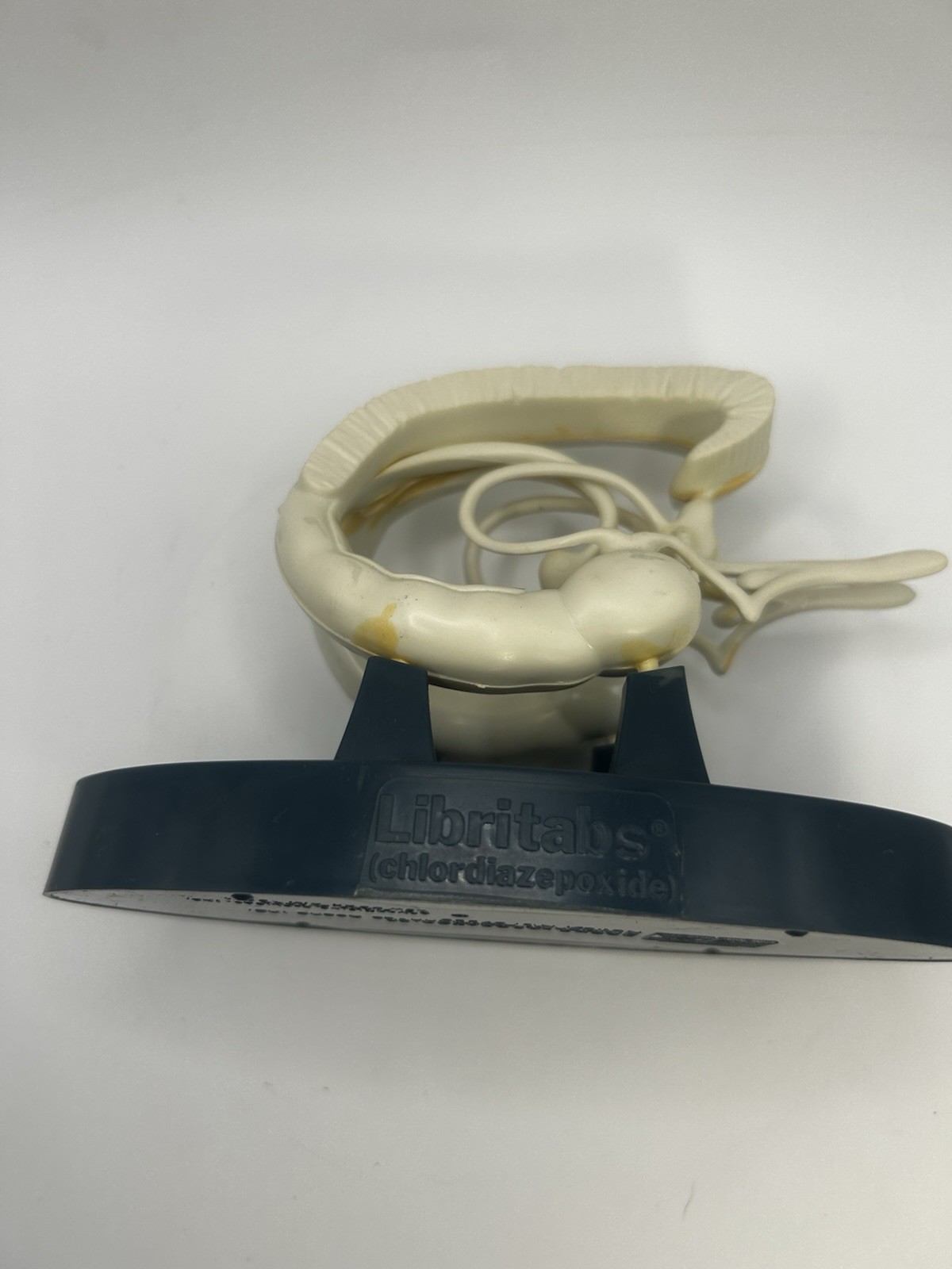 Vintage Roche Librium Brain Anatomical Model Medical Advertising Display Rare 3D
