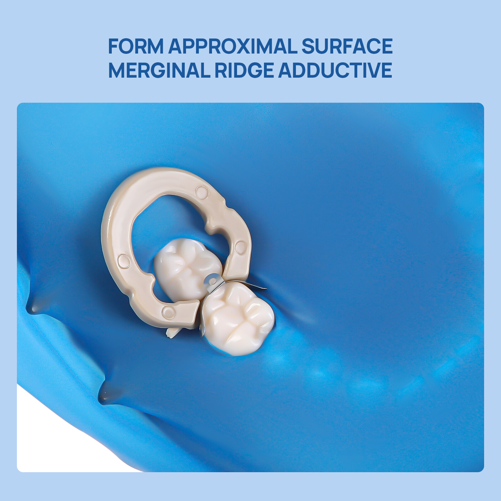 JMU Dental Sectional Contoured Matrix Bands Deciduous/Premolar/ Molar Matrices